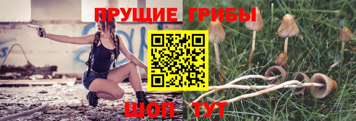 Псилоцибиновые грибы прущие грибы Новоуральск