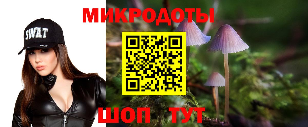Новоуральск  Псилоцибиновые грибы мухоморы  Псилоцибиновые грибы мухоморы  Вход с VPN 